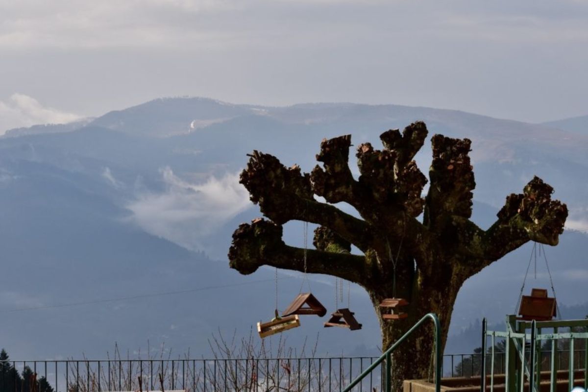 Les 9 meilleurs endroits pour une retraite spirituelle en Alsace