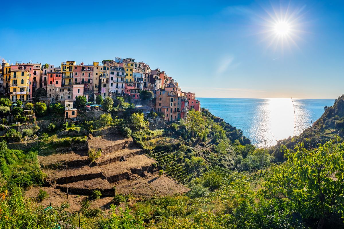 Corniglia Vignobles