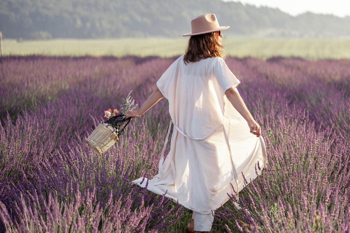 Les 8 plus beaux spots pour aller voir les champs de lavande en Provence en 2025