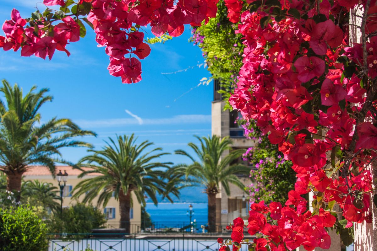 Corse au Printemps : Pourquoi c’est l’endroit à visiter en 2025 ?
