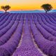 Les 7 lieux les plus instagrammables de Provence en 2025