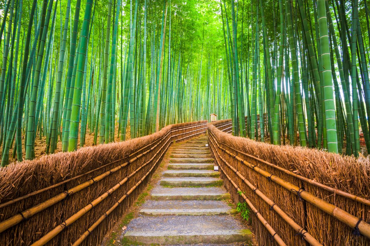 Top 10 des meilleures destinations d’Asie pour Juillet 2025