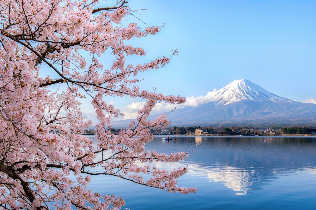 Juillet ou Août pour visiter le Japon : Que choisir ?