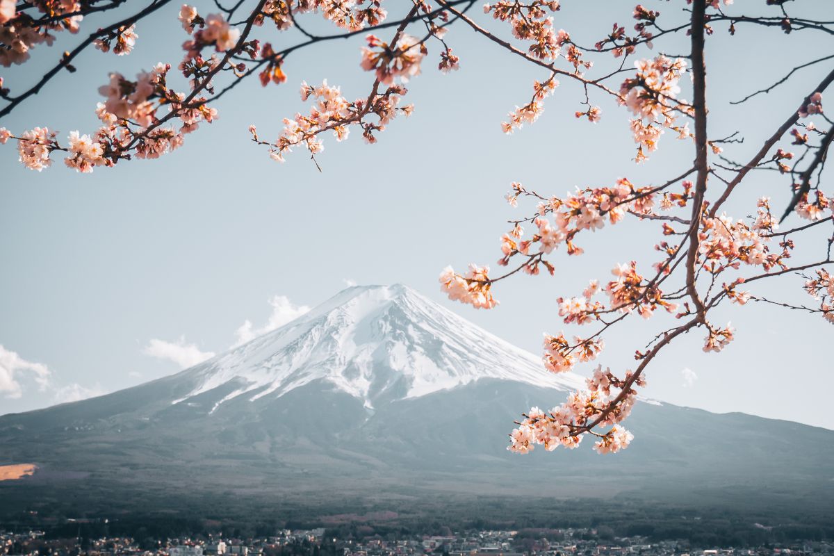 Juillet ou Août pour visiter le Japon : Que choisir ?