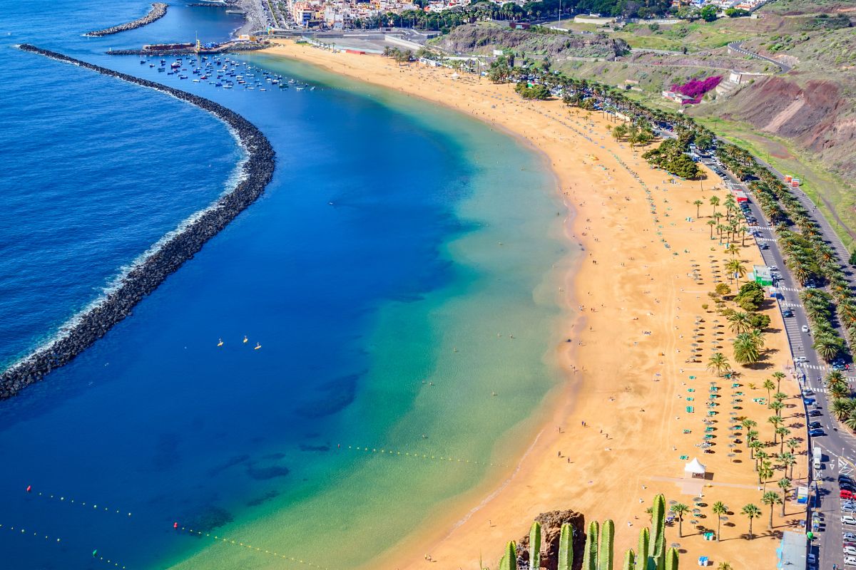 Madère ou Tenerife : Quel choix pour ses vacances 2025 ?
