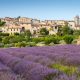 provence
