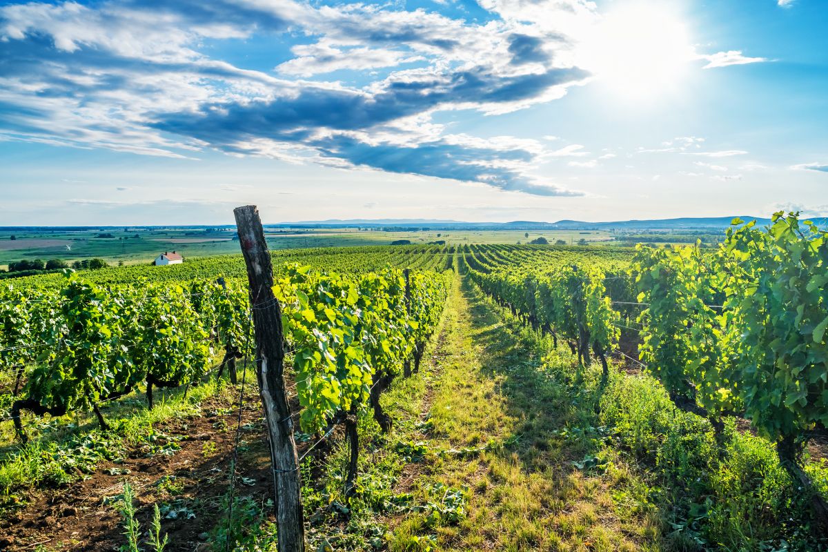 Les 8 meilleures destinations pour un road trip en Europe de l’Est