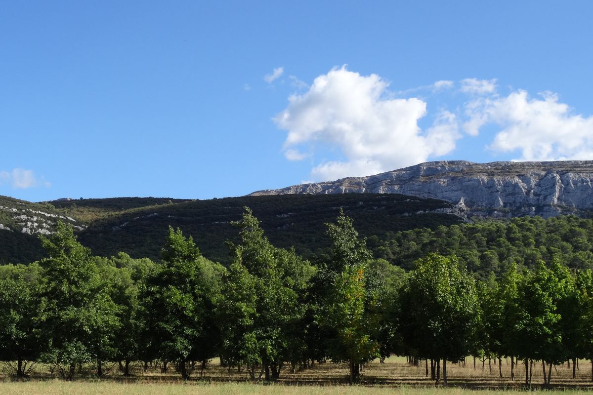 gorges de la Sainte-Baume