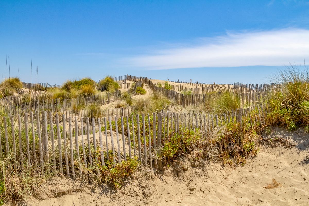 La Plage de l'Espiguette