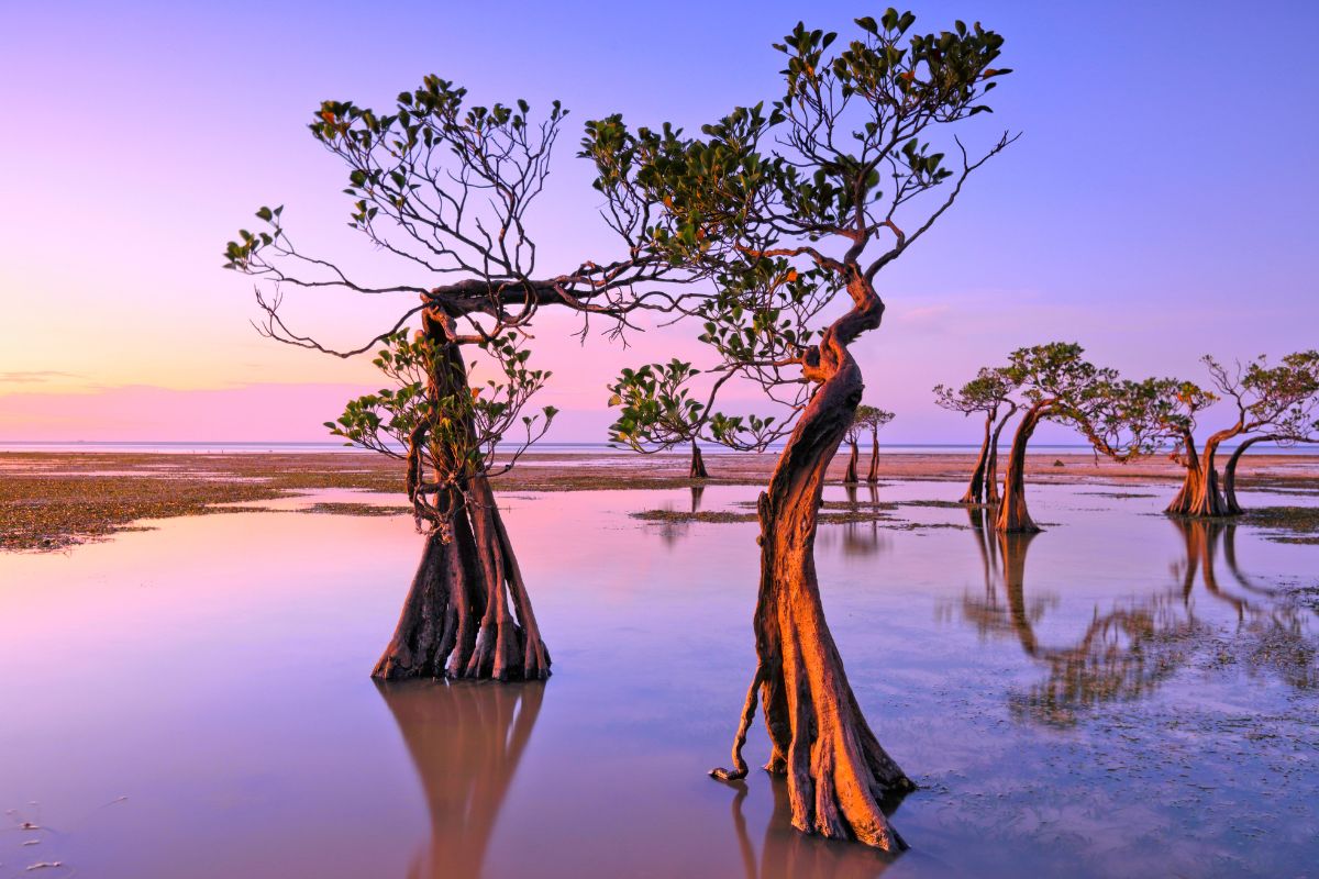 Walakiri Beach