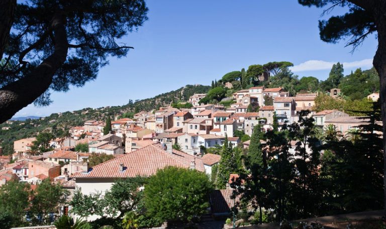 bornes-les-mimosas (6)