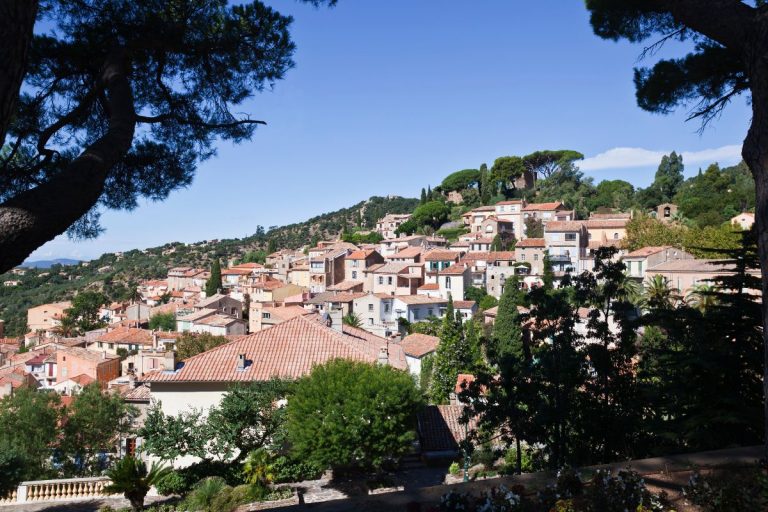 bornes-les-mimosas (6)