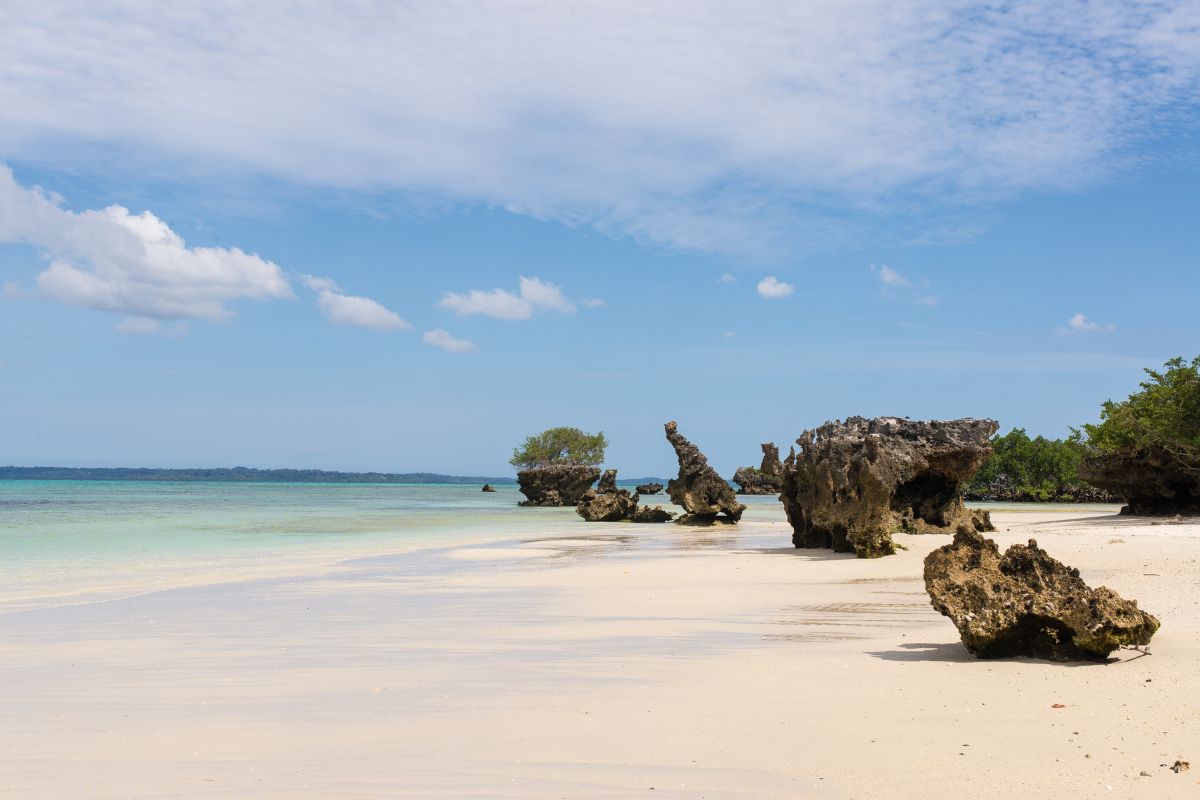 pemba-tanzanie