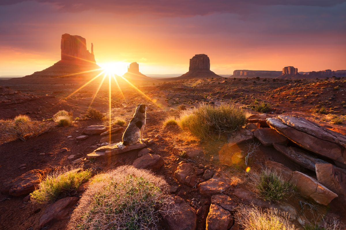 plus-grand-desert-monde