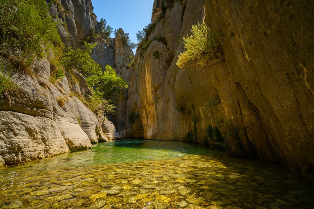 Gorges du Toulourenc paysage