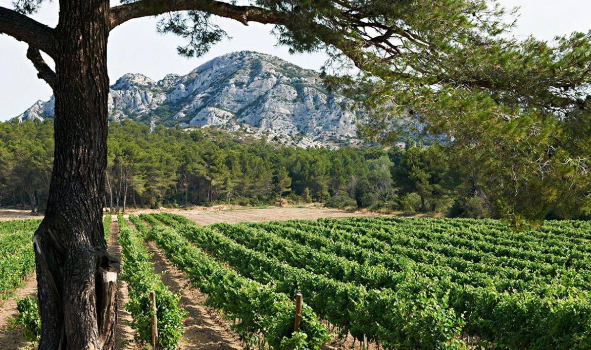 Hôtel Domaine Ribiera Spa & Golf Resort 5*