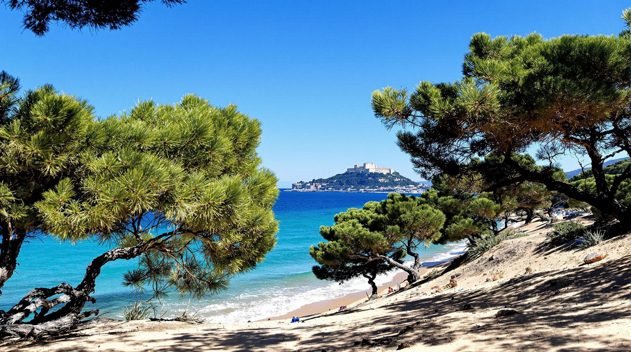 découvrez où se situe calvi en corse, entre mer et montagnes. explorez cette charmante ville portuaire, ses plages de sable fin et son patrimoine historique unique. idéal pour les amoureux de la nature et les passionnés d'histoire.